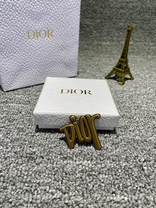 Dior Brooch 05lyr55